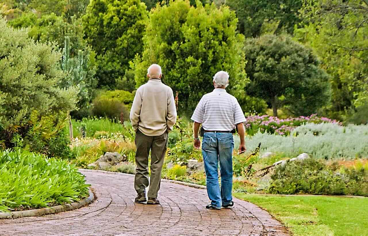 communauté village senior