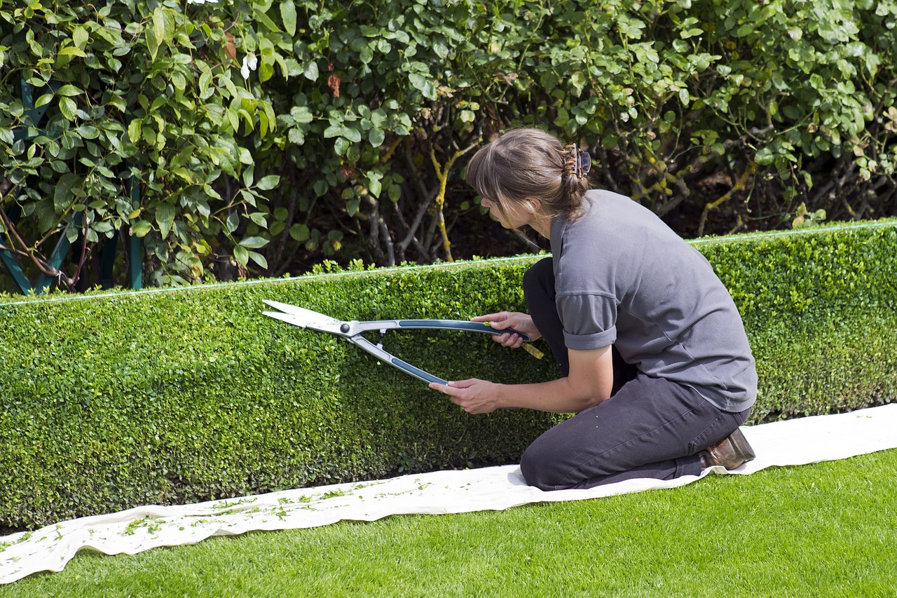 aide à domicile personne âgée jardinage